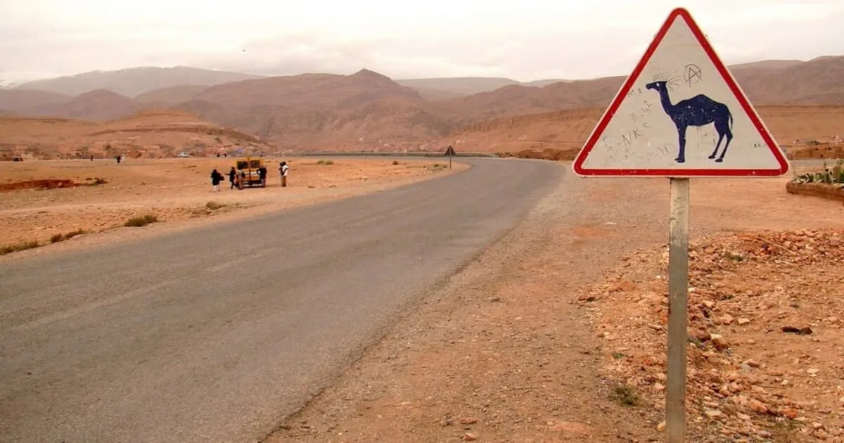 Morocco road signs and traffic rules
