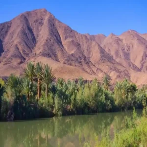 Morocco road trip Draa Valley