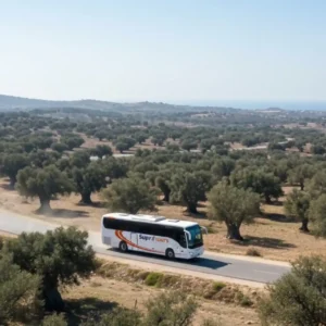 How to Get from Marrakech to Essaouira